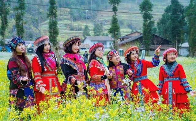 Culture Tours