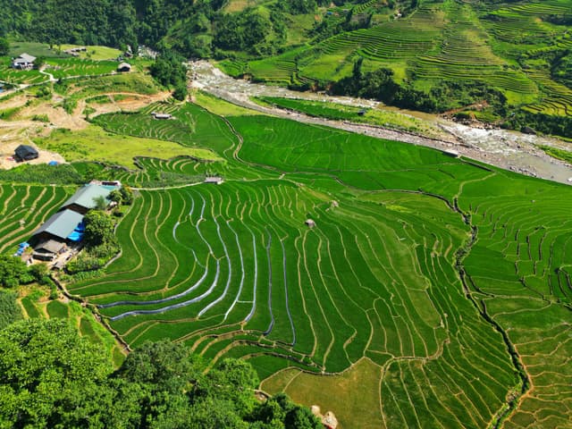 DAY 3: SAPA ARRIVAL & TREKKING & FANSIPAN MOUNTAIN (B, L)