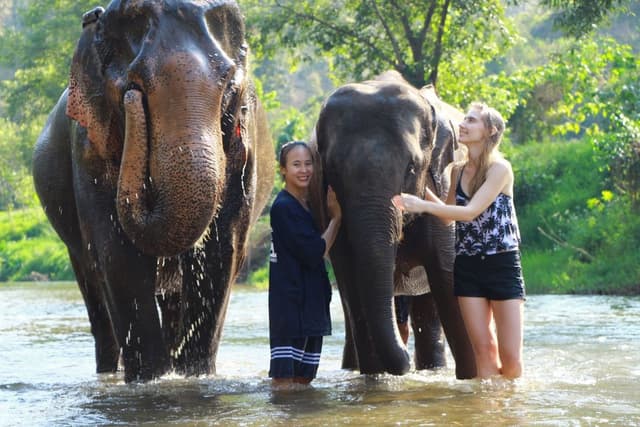 Day 9: Chiang Mai – Elephant Jungle Sanctuary (B, L)