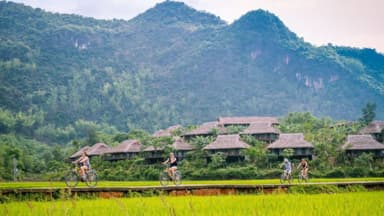 Ultimate Ninh Binh Cycling Tour : Full Day thumbnail 5