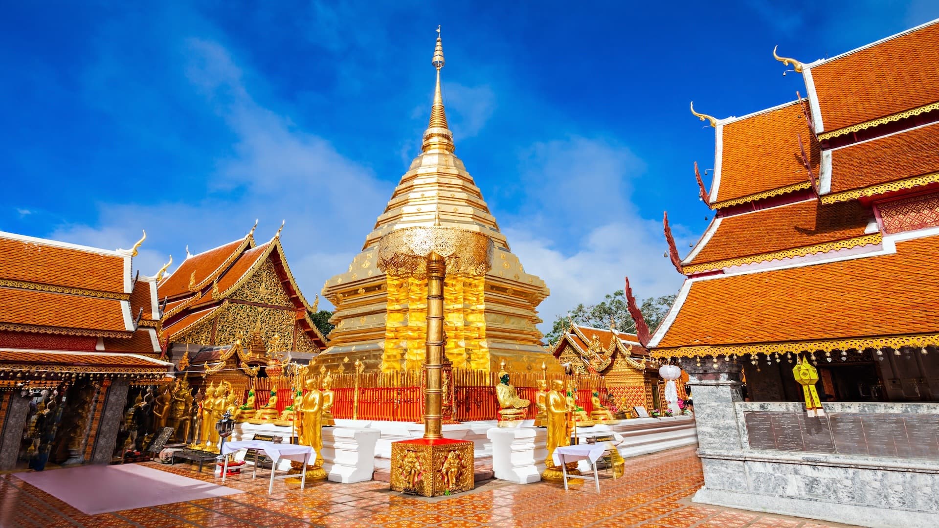 Chiang Mai Discovery & Elephant Sanctuary Tour – 4 Days / 3 Nights 4
