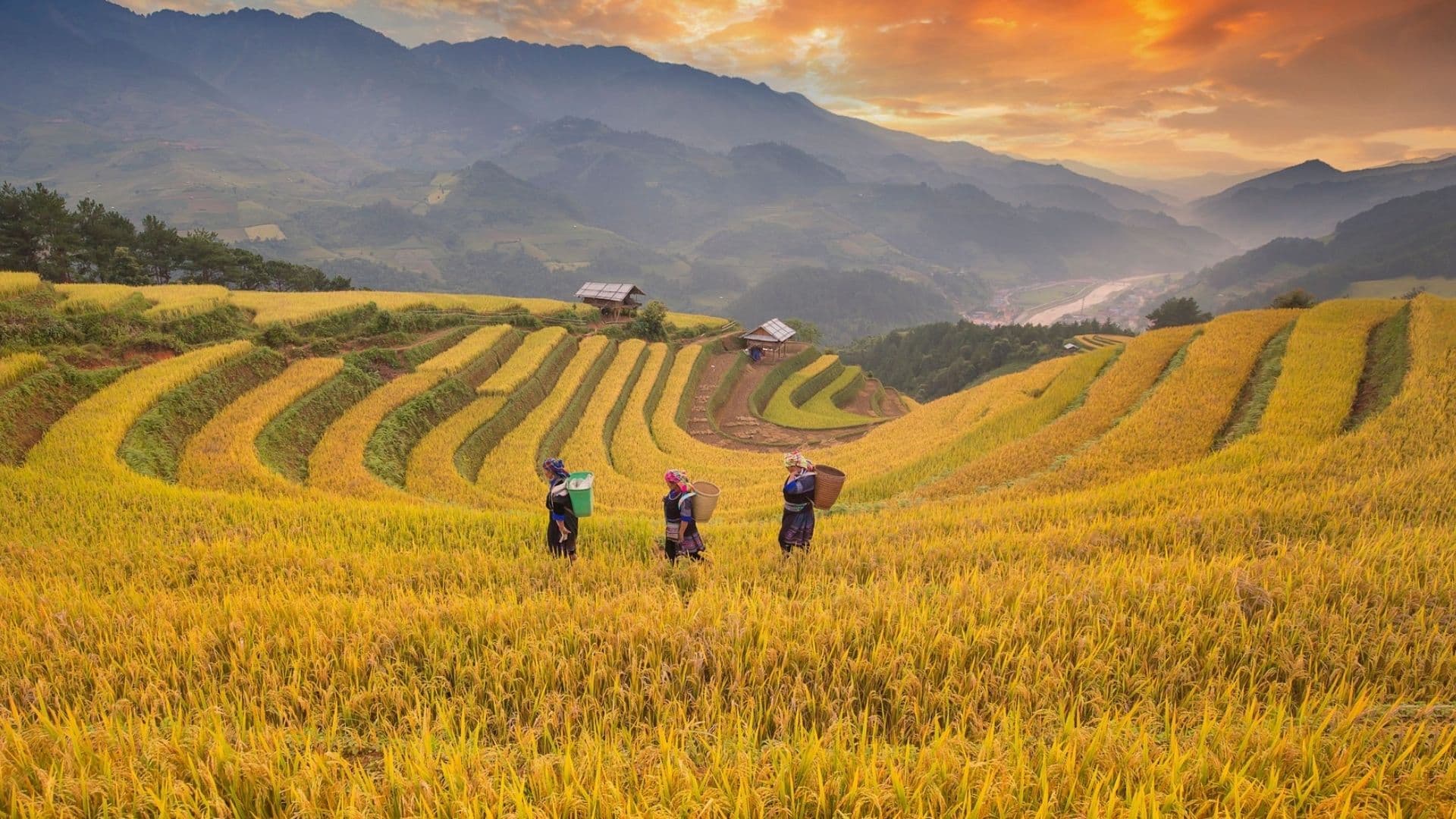 Unmissable 7-Day Vietnam Package Tour