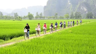 Ultimate Ninh Binh Cycling Tour : Full Day thumbnail 3