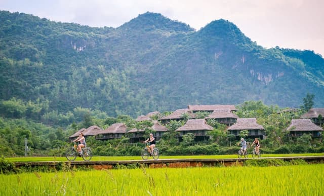 Day 1: Hanoi โ Ninh Binh โ Trang An โ Cycling to Bich Dong Pagoda (L/D)