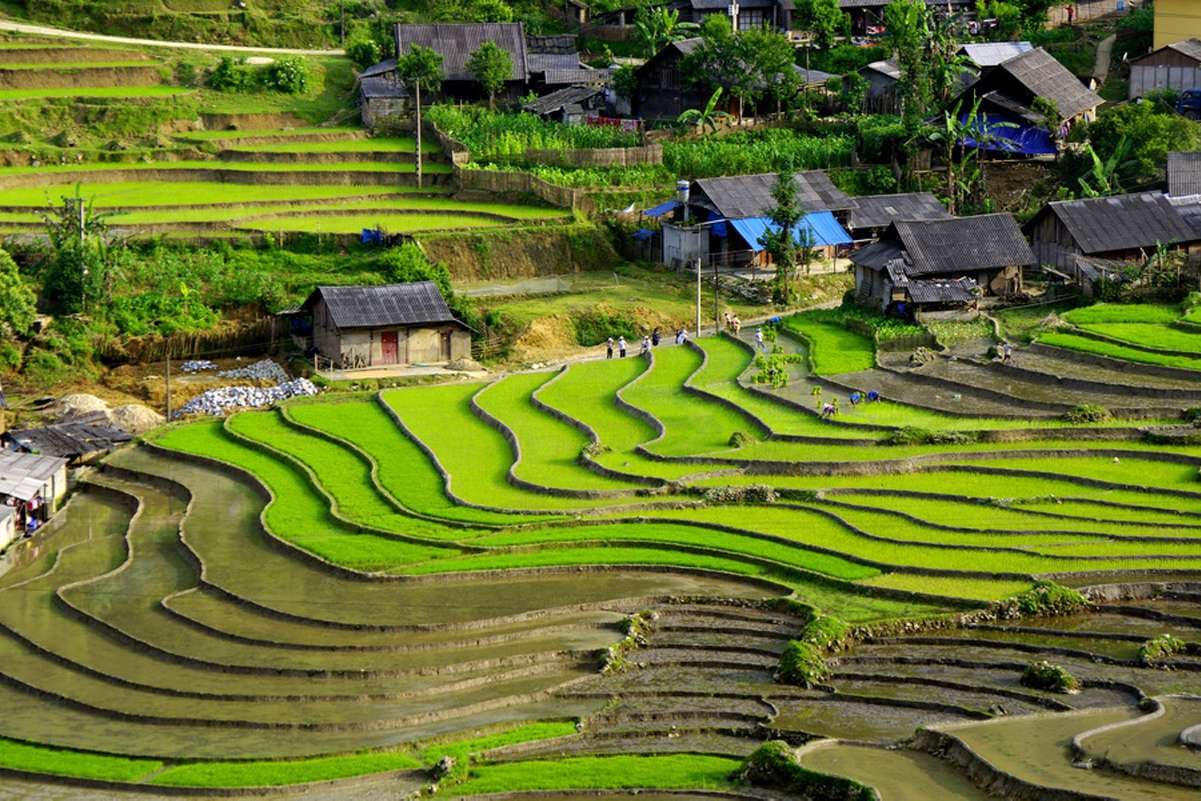 North Vietnam Package tour: 6 Days