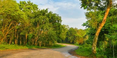 Ninh Binh Biking & Homestay Experience | 2 Days thumbnail 6